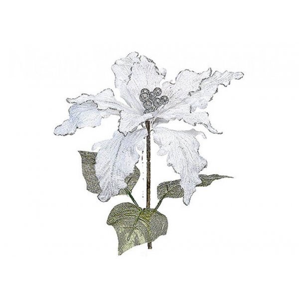 Χριστουγεννιάτικο Λουλούδι Αλεξανδρινό, Λευκό (60cm)